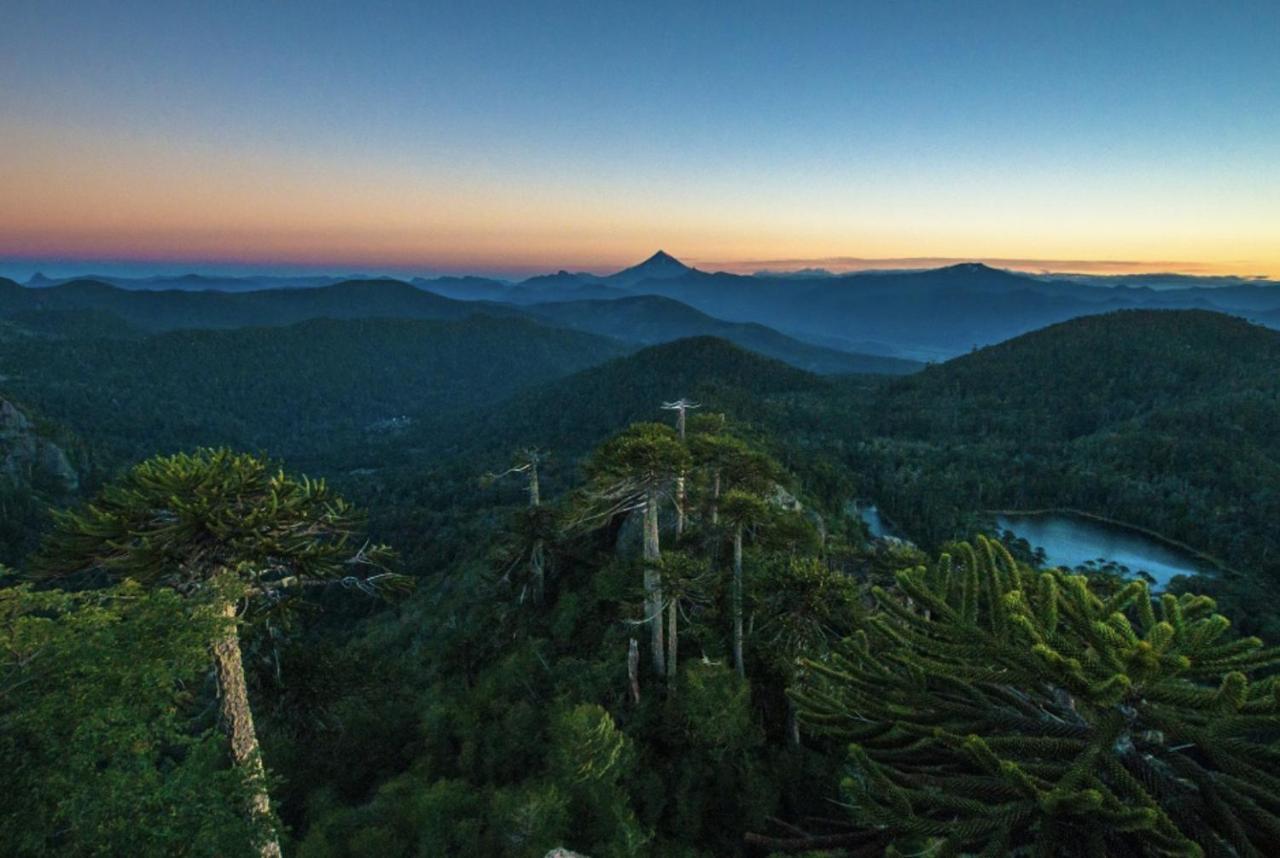 Апартаменти Pucon, La Capital Del Sur De Chile Екстер'єр фото